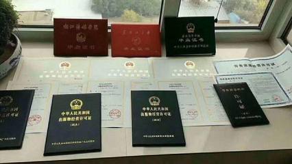 北京市朝阳区出版物经营与网络文化经营许可证办理全攻略